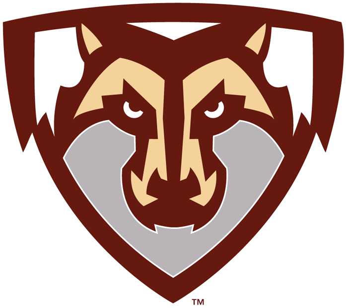 St. Bonaventure Bonnies 2002-Pres Partial Logo t shirts iron on transfers